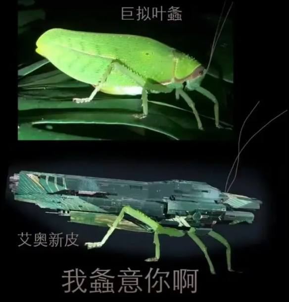 艾奥化身大绿蝈蝈，扫货福利商店，拉格地球日庆典启动！！