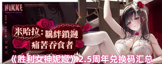 胜利女神妮姬2