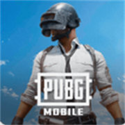 北辰轻体直装pubg轻量版 安卓版
